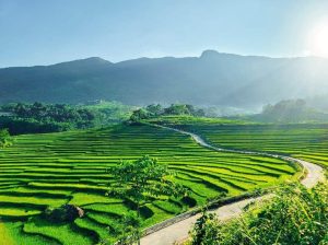 Discover Pù Luông: Tranquil Haven in Thanh Hóa