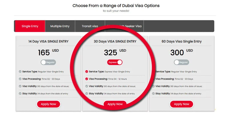 Step 2- Select the visa type