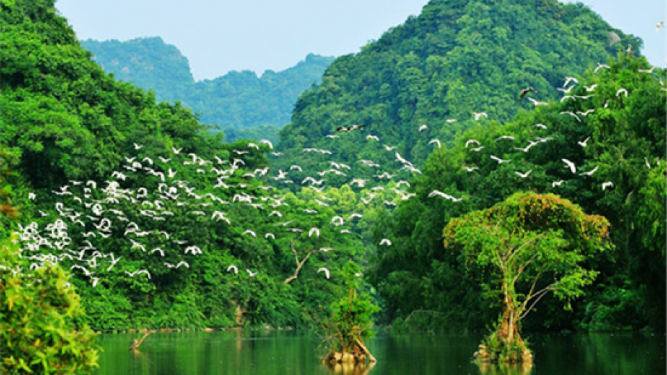 Thung Nham Bird Park