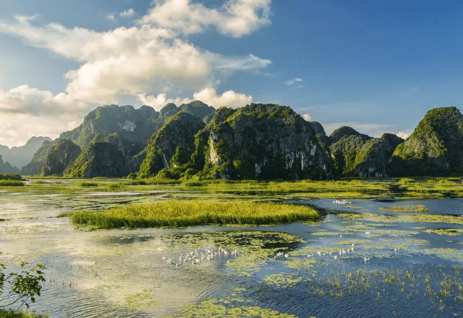 Vân Long Nature Reserve