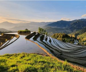 Explore Ha Giang: Enchanting Landscapes & Unforgettable Adventures