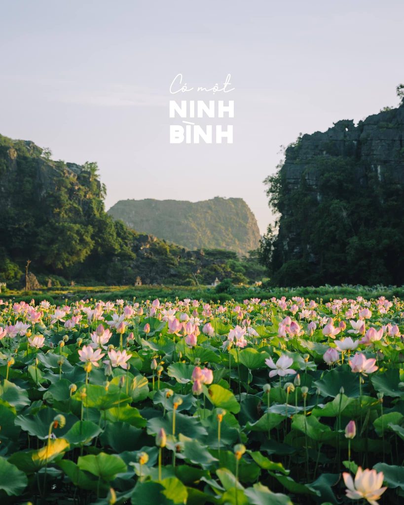 Ultimate Ninh Binh Travel Guide