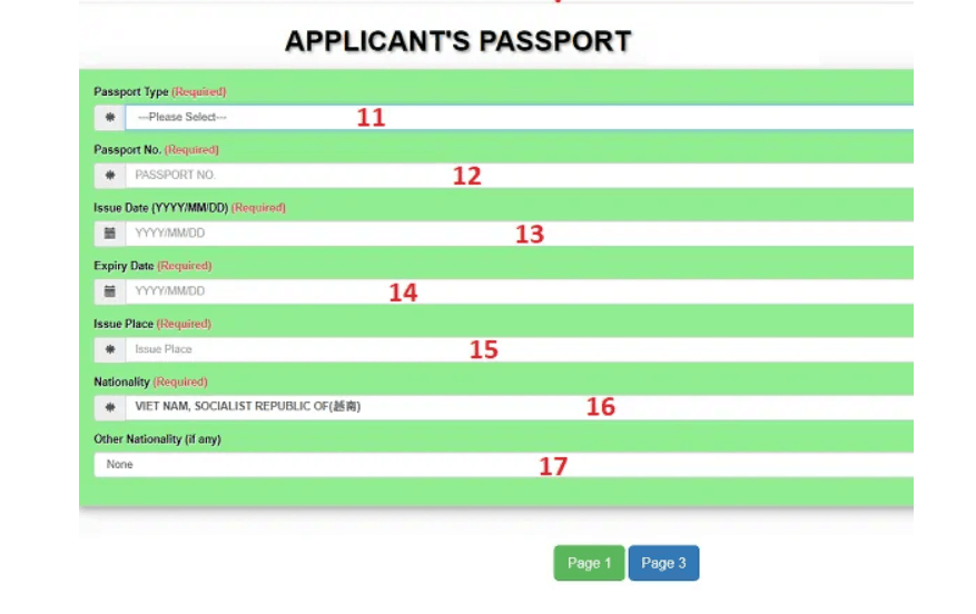 application passport